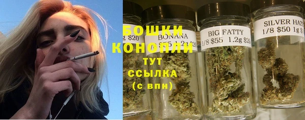 spice Нея