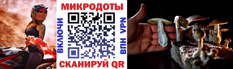 Купить закладки  Изобильный  Галлюциногенные грибы Magic Shrooms 